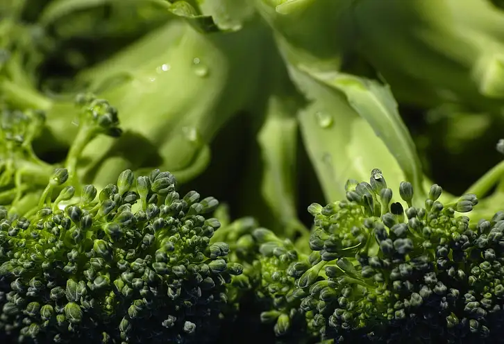 Czy brokuły można jeść na surowo? Korzyści
