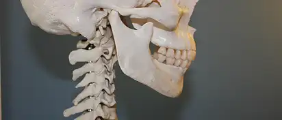 Ile kanałów ma ząb? Anatomia i leczenie