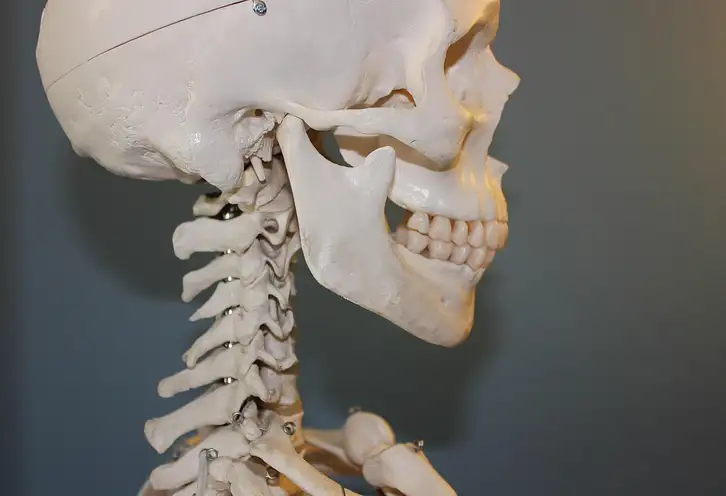 Ile kanałów ma ząb? Anatomia i leczenie